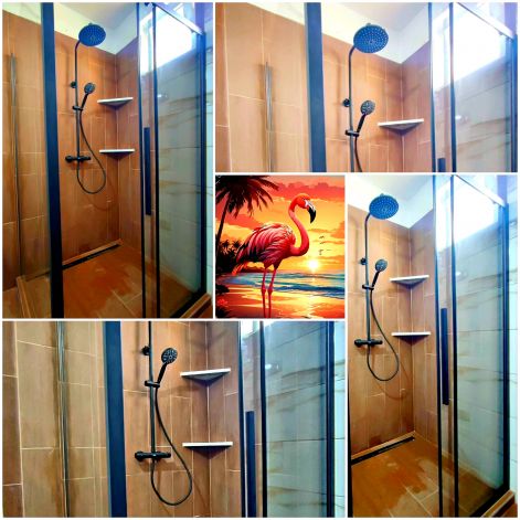 20250310_0908301.jpg 20250310_0908301.jpg